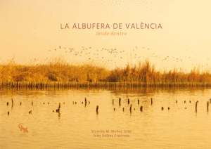 LA ALBUFERA DE VALNCIA DESDE DENTRO