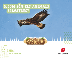 REES INTEGRADES. 4 ANYS. 3 TRIMESTRE. CASTORIA. ARRELS