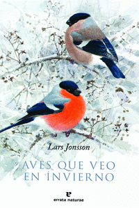 AVES QUE VEO EN INVIERNO