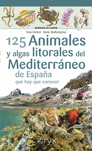 125 ANIMALES Y ALGAS LITORALES DEL MEDITERR�NEO DE ESPA�A QUE HAY QUE CONOCER