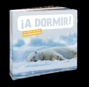 �A DORMIR!