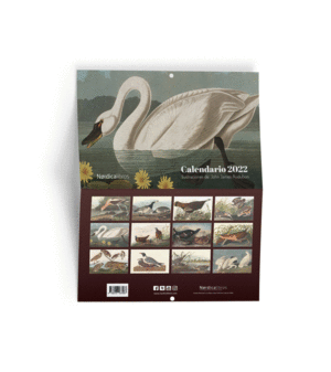 CALENDARIO AVES DE AM�RICA