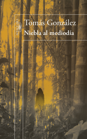 NIEBLA AL MEDIODA