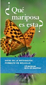 �QUE MARIPOSA ES ESTA?