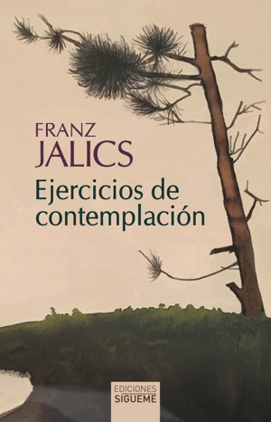 EJERCICIOS DE CONTEMPLACI�N