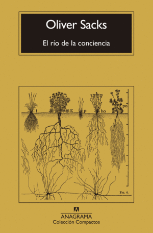 EL RO DE LA CONCIENCIA
