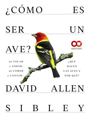 �C�MO ES SER UN AVE? DE VOLAR A ANIDAR, DE COMER A CANTAR... �QU� HACEN LAS AVES