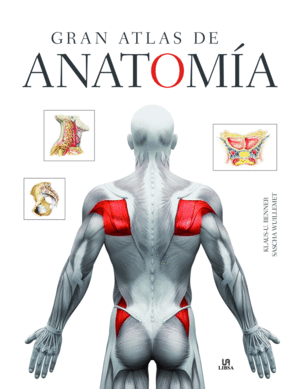 GRAN ATLAS DE ANATOMA