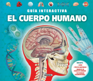 EL CUERPO HUMANO