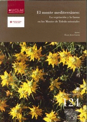 MI CAJA DE CUENTOS DE BUENAS NOCHES