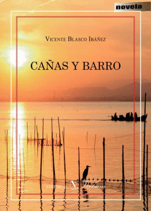 CA�AS Y BARRO