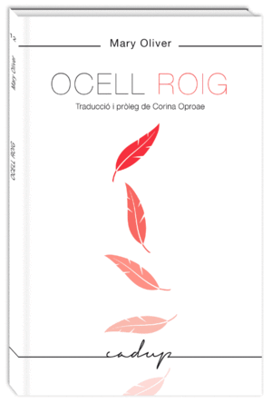 OCELL ROIG
